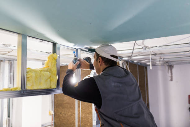 Best Soundproof Insulation Installation  in Hays, NC