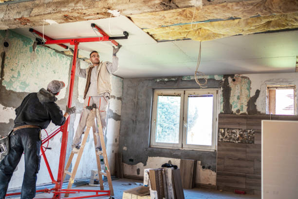Best Attic Insulation Installation  in Hays, NC