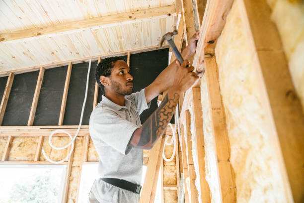 Best Spray Foam Insulation  in Hays, NC