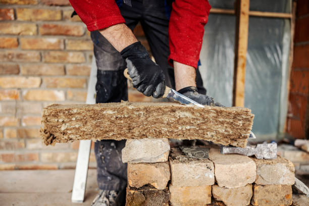 Best Insulation Removal  in Hays, NC