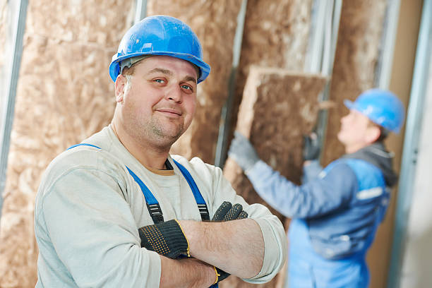 Best Professional Insulation Contractor  in Hays, NC
