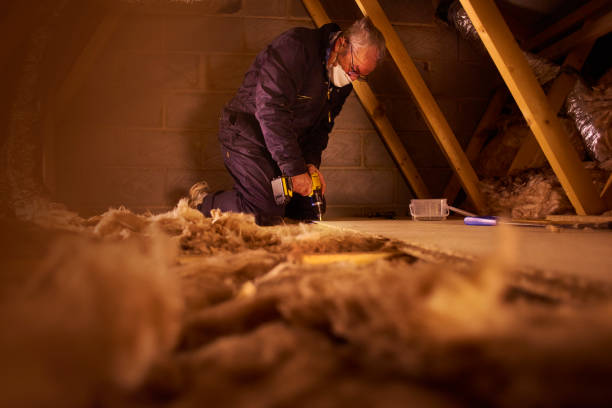 Best Cellulose Insulation  in Hays, NC